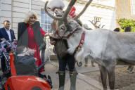 ROYALS - Königin Camilla lädt Kinder ein den Weihnachtsbaum zu schmücken