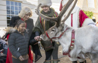 ROYALS - Königin Camilla lädt Kinder ein den Weihnachtsbaum zu schmücken