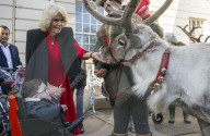 ROYALS - Königin Camilla lädt Kinder ein den Weihnachtsbaum zu schmücken