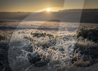 Freezing weather