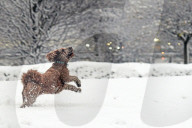 First snow in London , UK.