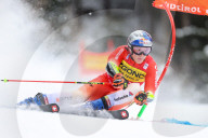 alpine ski race - Men Giant Slalom