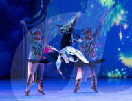 Varna International Ballet’s The Nutcracker at St David’s Hall, Cardiff, Wales, UK.