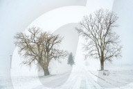 NEWS - Heftiger Wintersturm in den USA