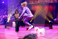 PEOPLE -  Hazel Brugger bei "Stars in der Manege" im Circus Krone Bau in München