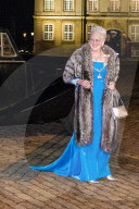 ROYALS - Die dänische Königsfamilie beim Neujahrsempfang auf Schloss Amalienborg