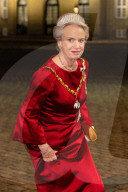 ROYALS - Die dänische Königsfamilie beim Neujahrsempfang auf Schloss Amalienborg