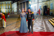 ROYALS - Die dänische Königsfamilie beim Neujahrsempfang auf Schloss Amalienborg