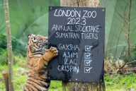 ZSL London Zoo's Annual Stocktake