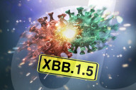 NEWS - Coronavirus: Illustration von Corona-Varianten