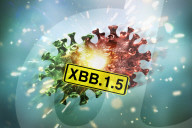 NEWS - Coronavirus: Illustration von Corona-Varianten