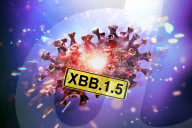 NEWS - Coronavirus: Illustration von Corona-Varianten