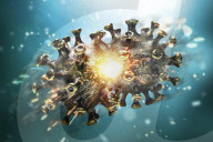NEWS - Coronavirus: Illustration von Corona-Varianten