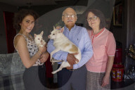 'I have to control the flashbacks': Anoosheh Ashoori on life after being freed from an Iranian jail