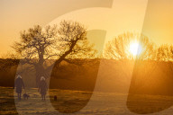 Sunrise Richmond Park , London, UK.