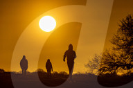 Sunrise Richmond Park , London, UK.