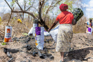 ‘Means of survival': Tanzania's booming charcoal trade drives unchecked deforestation