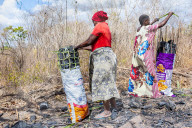 ‘Means of survival': Tanzania's booming charcoal trade drives unchecked deforestation