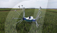 FEATURE -  Landwirtschaftsroboter patrouilliert auf Feldern, um die Gesundheit der Pflanzen zu überprüfen