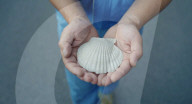 FEATURE -   Schutzhelm für Arbeiter aus recycelten Muscheln