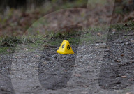 Dog attack kills woman, Caterham, UK. 