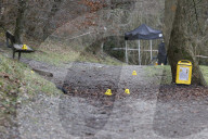 Dog attack kills woman, Caterham, UK. 