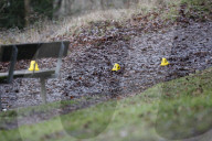 Dog attack kills woman, Caterham, UK. 