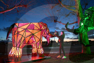 Canary Wharf Winter Lights festival 2023: First look at the luminous spectacle taking over E14