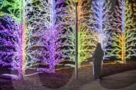 Canary Wharf Winter Lights festival 2023: First look at the luminous spectacle taking over E14