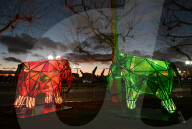 Canary Wharf Winter Lights festival 2023: First look at the luminous spectacle taking over E14