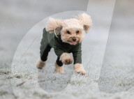 Freezing weather, London, UK.