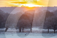 Freezing conditions with frost and snow for Richmond Park south-west London UK.