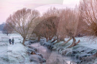Freezing conditions with frost and snow for Richmond Park south-west London UK.