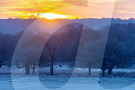Freezing conditions with frost and snow for Richmond Park south-west London UK.