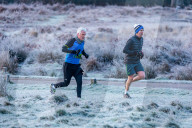 Freezing conditions with frost and snow for Richmond Park south-west London UK.