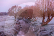 Freezing conditions with frost and snow for Richmond Park south-west London UK.