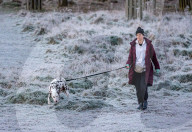 Freezing conditions with frost and snow for Richmond Park south-west London UK.