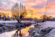 Freezing conditions with frost and snow for Richmond Park south-west London UK.