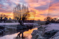 Freezing conditions with frost and snow for Richmond Park south-west London UK.