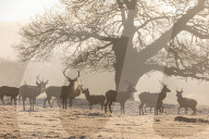 Freezing conditions still continue for London and the South East.