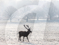 Freezing conditions still continue for London and the South East.