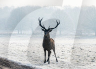 Freezing conditions still continue for London and the South East.