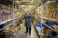 A rare glimpse inside Britain's secret vault of whale skeletons