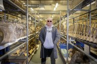 A rare glimpse inside Britain's secret vault of whale skeletons