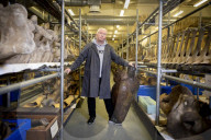 A rare glimpse inside Britain's secret vault of whale skeletons