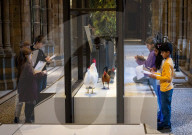 The Wild Escape at the Mammals Gallery, Natural History Museum, London