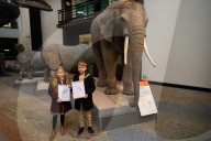 The Wild Escape at the Mammals Gallery, Natural History Museum, London