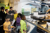 The Wild Escape at the Mammals Gallery, Natural History Museum, London
