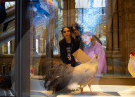 The Wild Escape at the Mammals Gallery, Natural History Museum, London