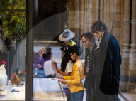 The Wild Escape at the Mammals Gallery, Natural History Museum, London